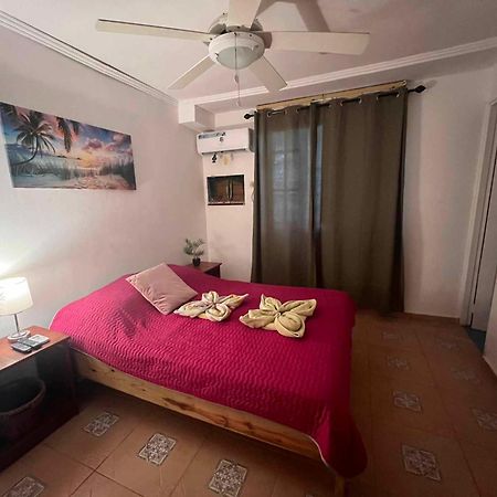 Hotel Tierra Verde Bed And Breakfast Bocas del Toro Exterior photo