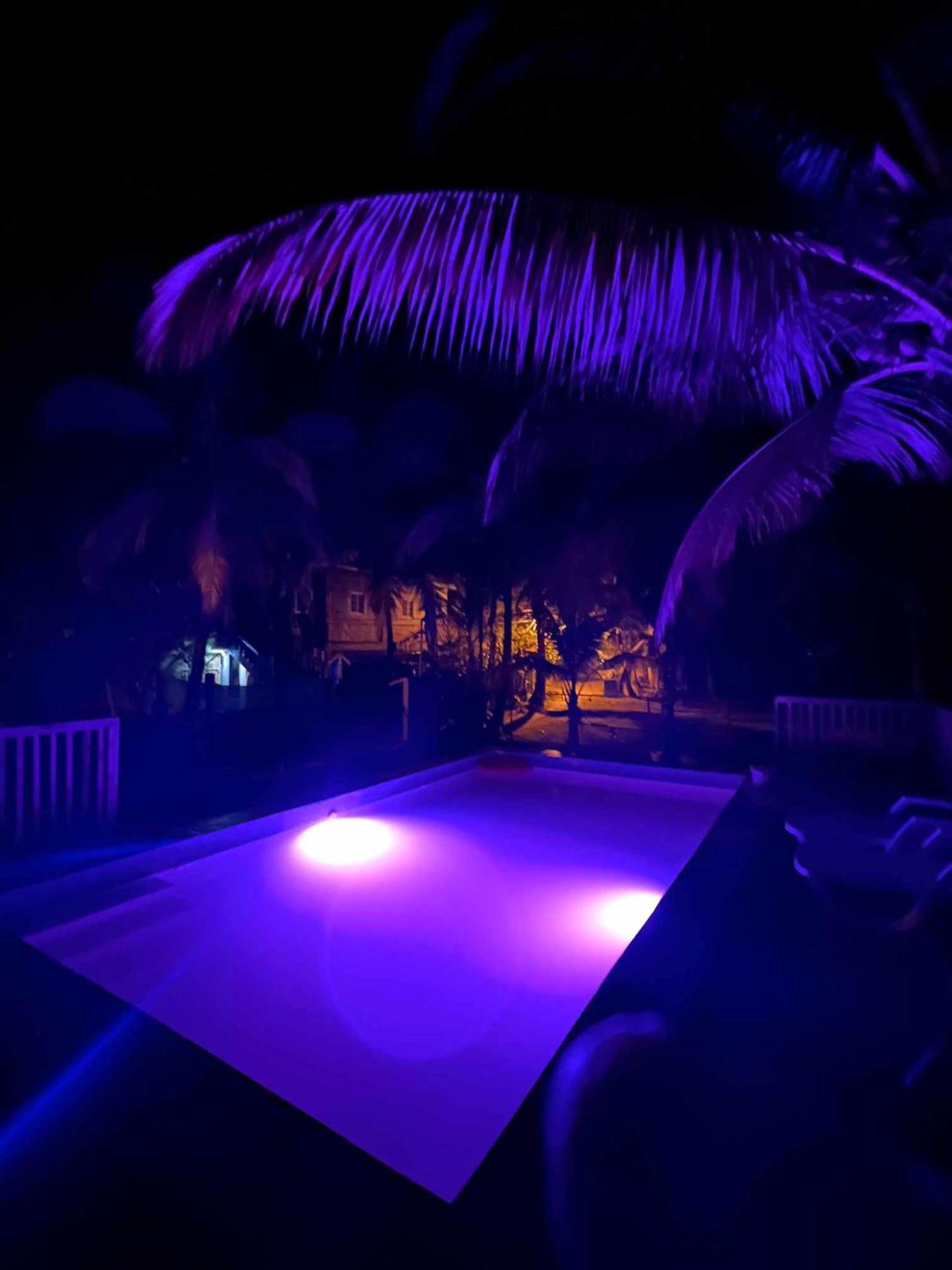 Hotel Tierra Verde Bed And Breakfast Bocas del Toro Exterior photo