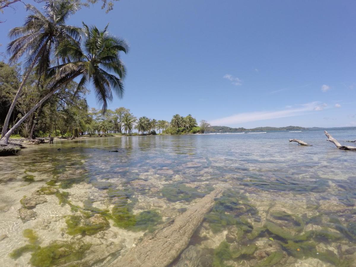 Hotel Tierra Verde Bed And Breakfast Bocas del Toro Exterior photo